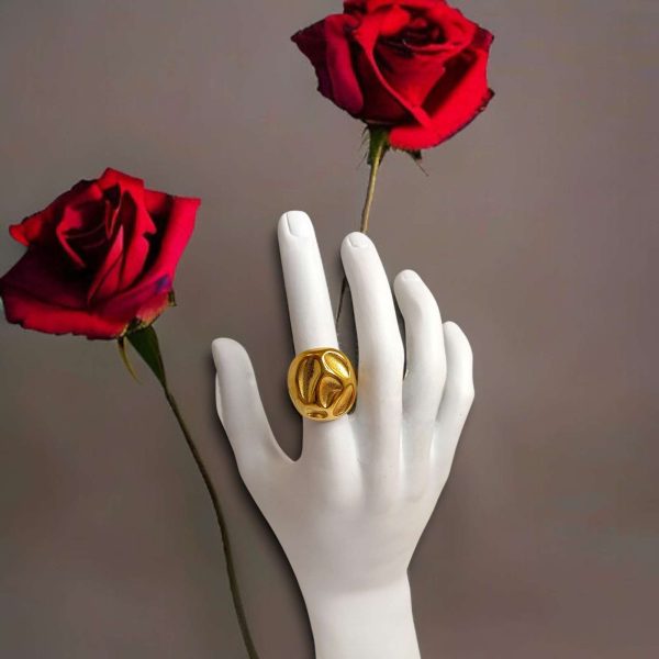 1000002461 Anello Guscio